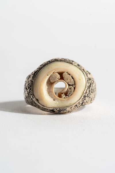 Sterling Shell Ring No. 3