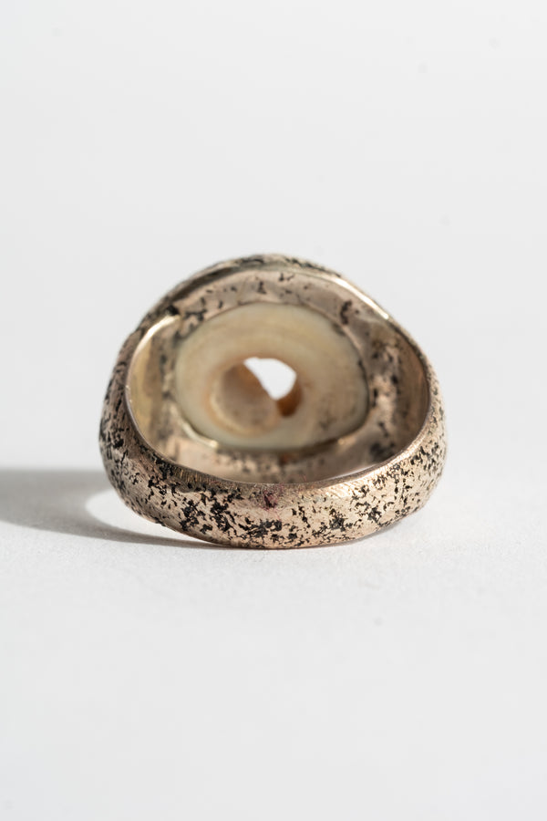 Sterling Shell Ring No. 3