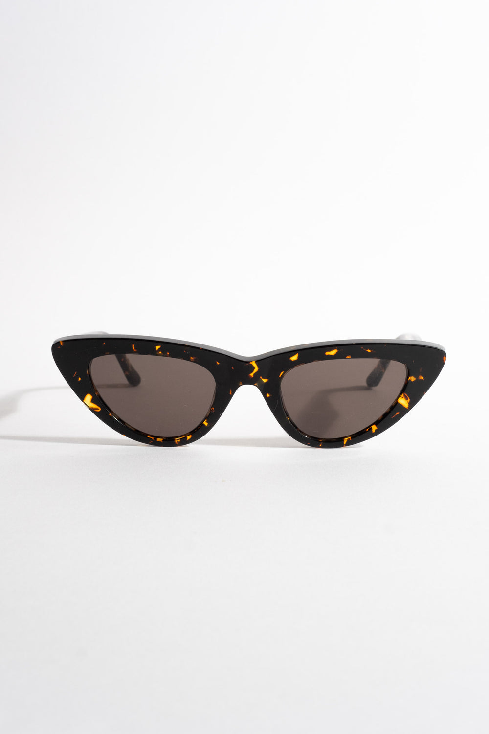 Moon in Brown Tortoise