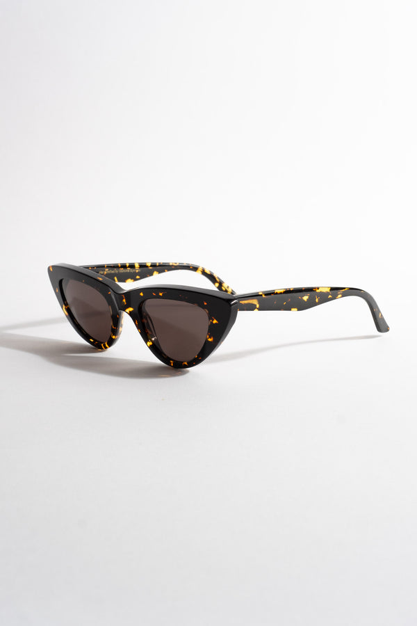 Moon in Brown Tortoise