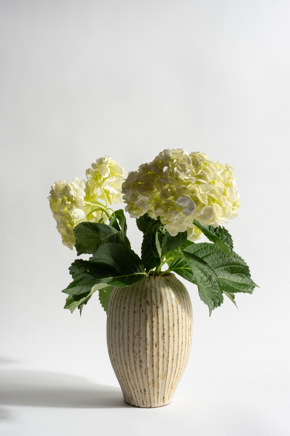 Fluted Pod Vase