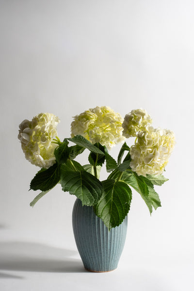 Fluted Vase with Bubble Rim