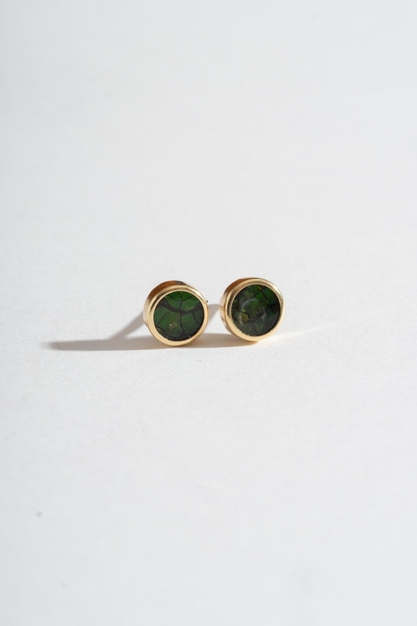 14K Ammolite Studs