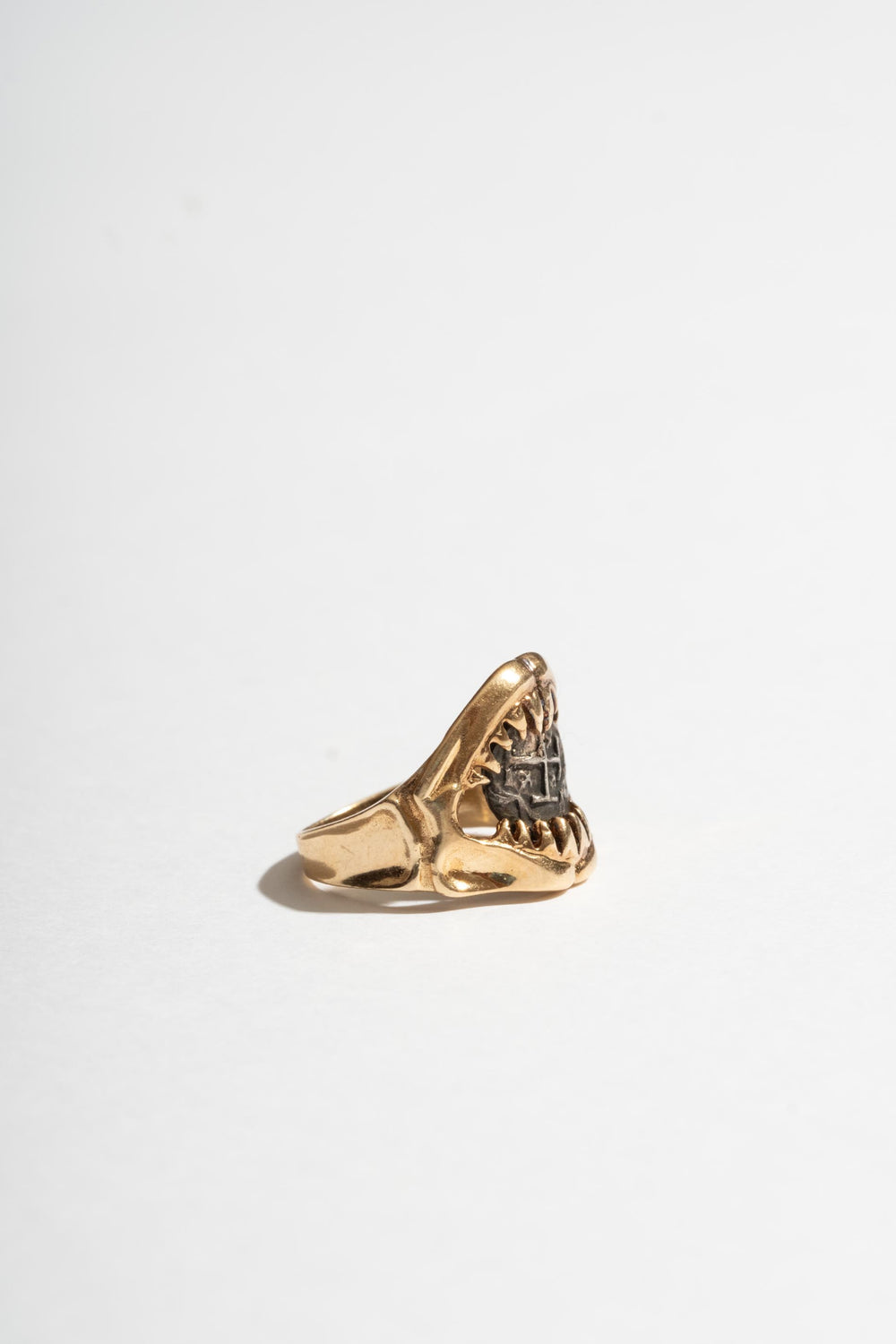 14K Shark Jaw Ring with Silver Roman Coin