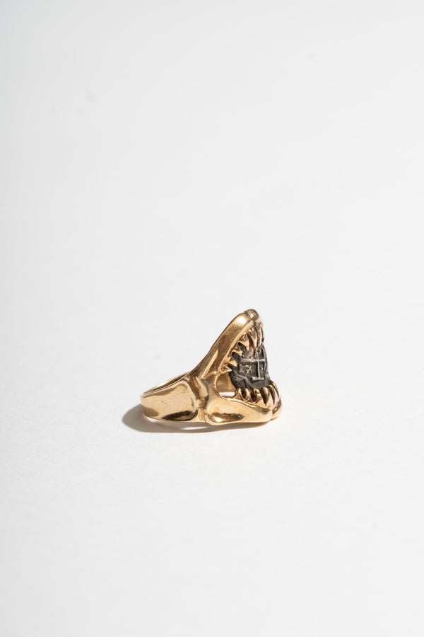 14K Shark Jaw Ring with Silver Roman Coin