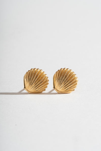 14K Shell Studs