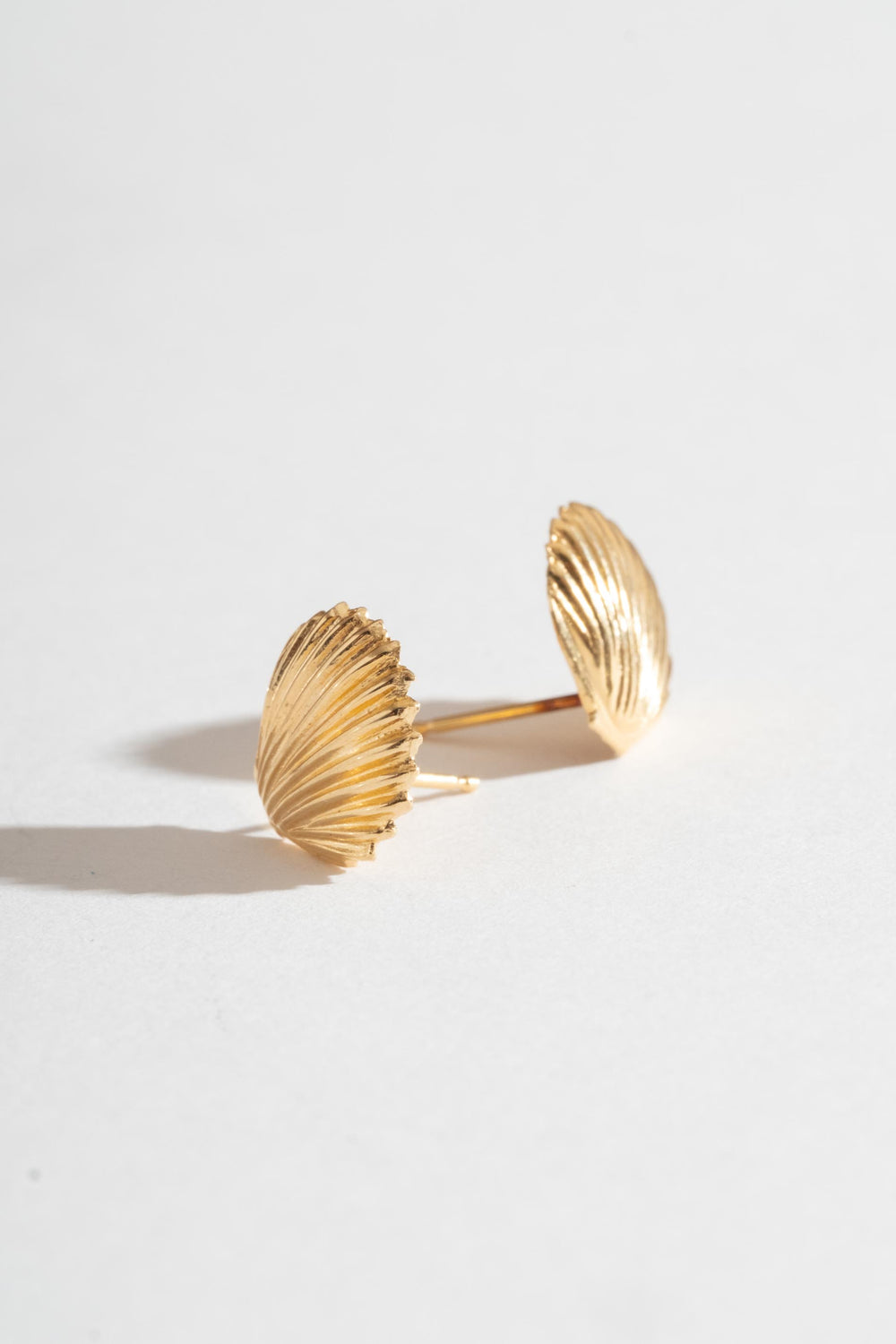 14K Shell Studs