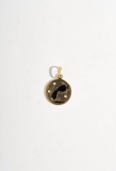 14K Aquarius Medallion