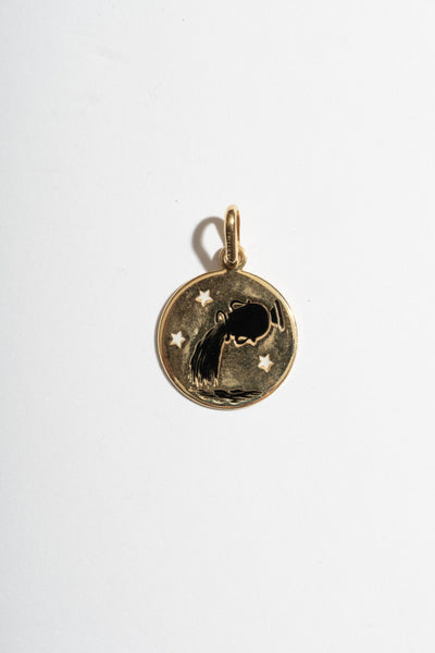 14K Aquarius Medallion