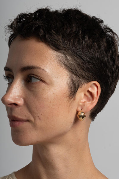 14K Shell Hoops
